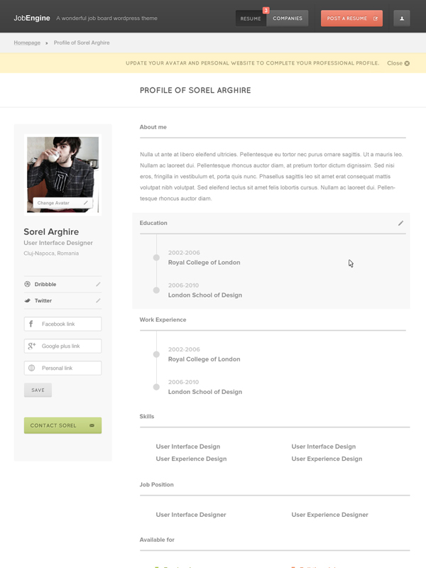 JobEngine professional profile - WordPress job board theme